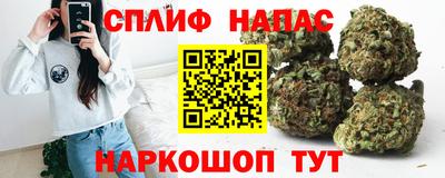 индика Гай