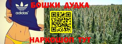 индика Гай