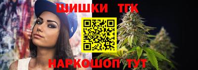 индика Гай