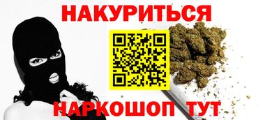 индика Гай