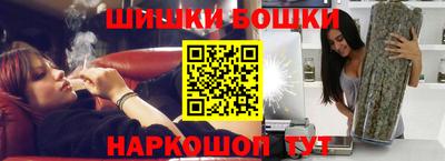 индика Гай