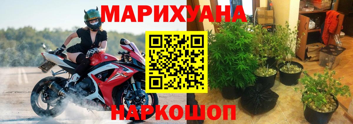 Бошки Шишки Bruce Banner  Вход с VPN  Псков  Бошки марихуана сатива 
